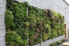 jardines verticales